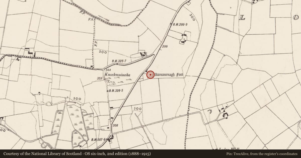 Ordnance Survey six-inch map, 2nd edition (1888–1915) covering the location of Moated site, Castlefarm, County Limerick, with a pin at the register's coordinates