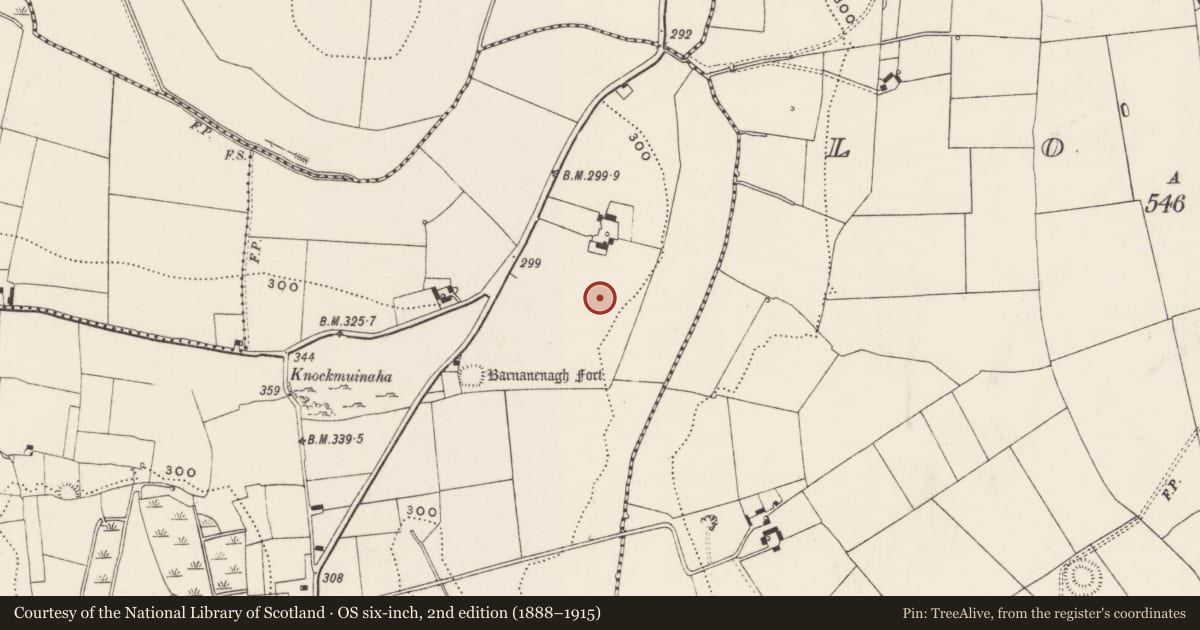 Ordnance Survey six-inch map, 2nd edition (1888–1915) covering the location of Standing stone, Castlefarm, County Limerick, with a pin at the register's coordinates