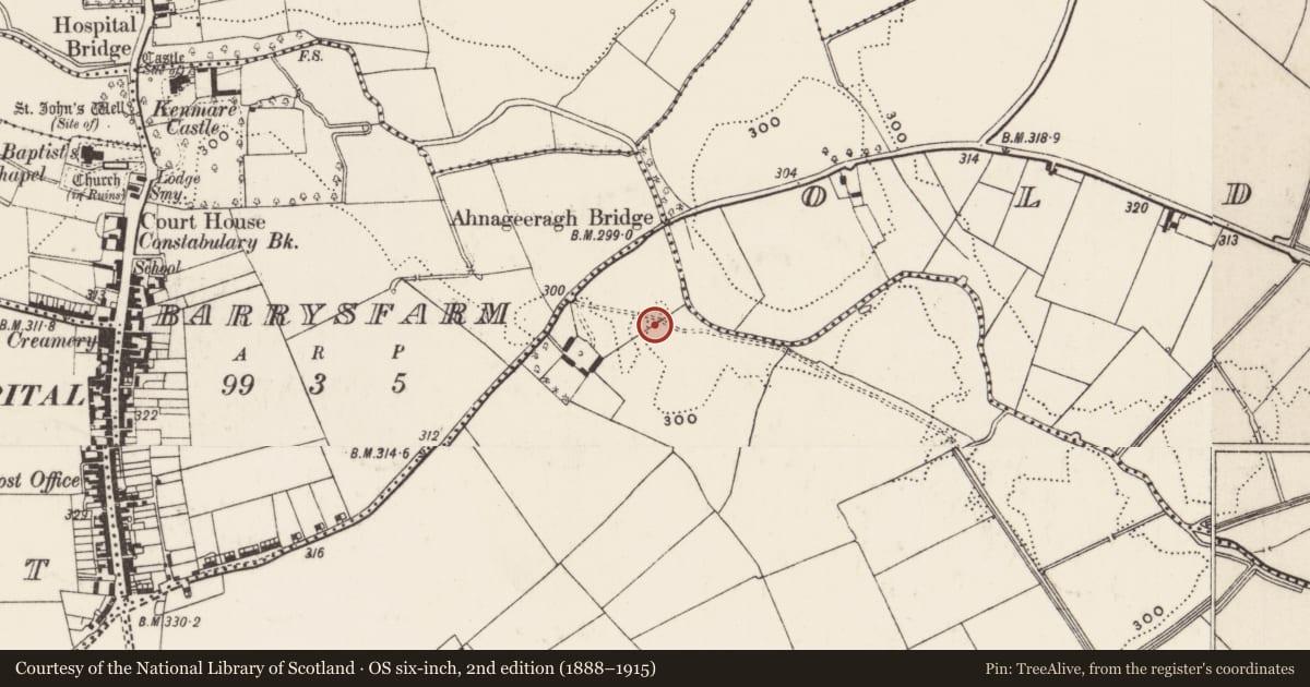 Ordnance Survey six-inch map, 2nd edition (1888–1915) covering the location of Barrow - ring-barrow, Coolalough, County Limerick, with a pin at the register's coordinates