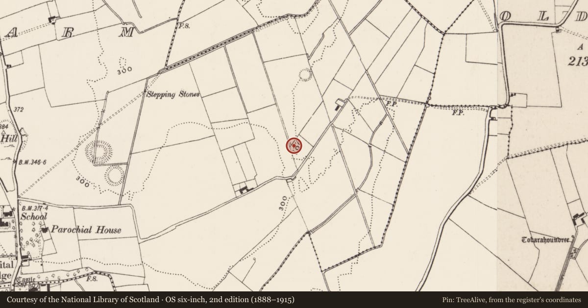 Ordnance Survey six-inch map, 2nd edition (1888–1915) covering the location of Holed stone, Castlefarm, County Limerick, with a pin at the register's coordinates