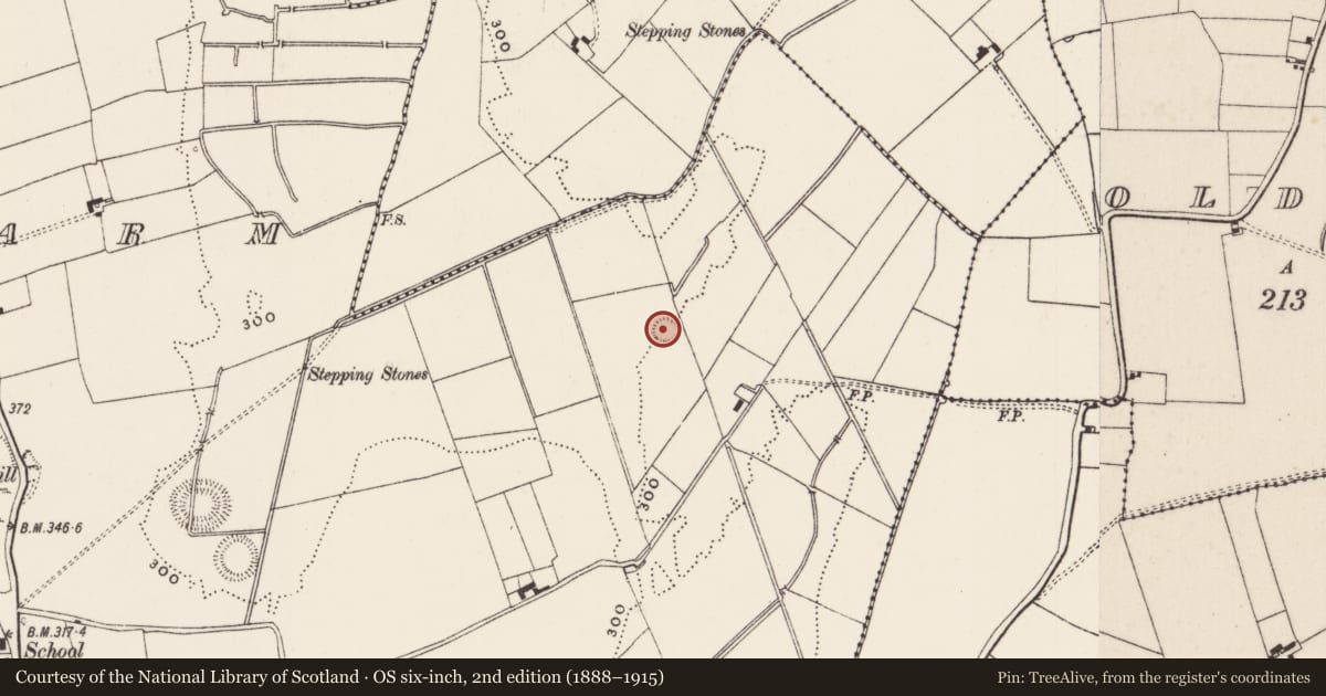 Ordnance Survey six-inch map, 2nd edition (1888–1915) covering the location of Ringfort - rath, Castlefarm, County Limerick, with a pin at the register's coordinates