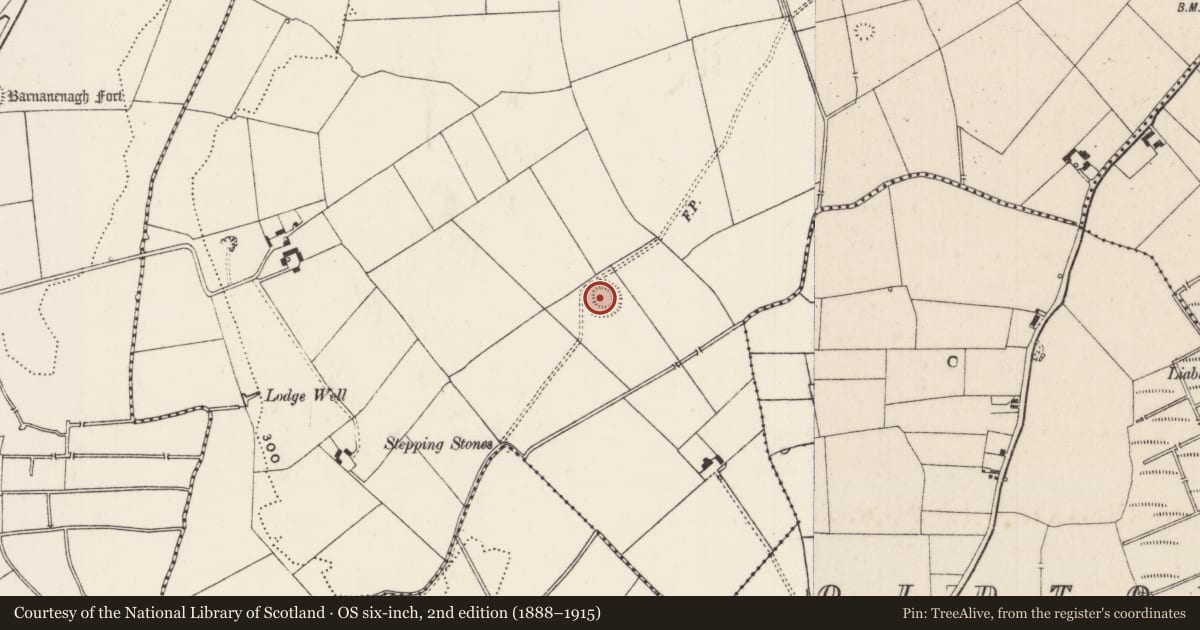 Ordnance Survey six-inch map, 2nd edition (1888–1915) covering the location of Ringfort - rath, Lodge, County Limerick, with a pin at the register's coordinates