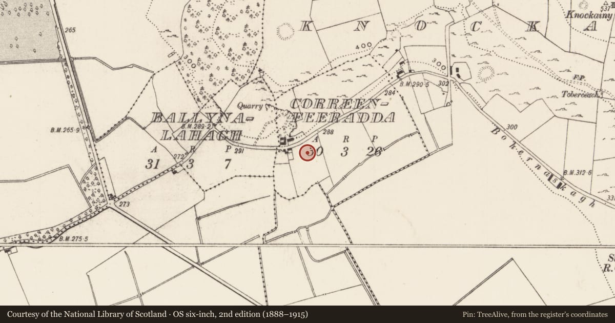 Ordnance Survey six-inch map, 2nd edition (1888–1915) covering the location of Standing stone, Correenfeeradda, County Limerick, with a pin at the register's coordinates