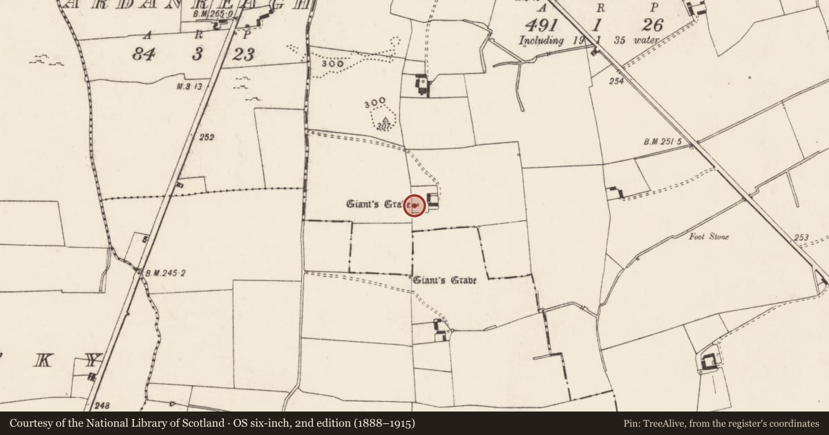 Ordnance Survey six-inch map, 2nd edition (1888–1915) covering the location of Standing stone, Ballynagallagh, County Limerick, with a pin at the register's coordinates