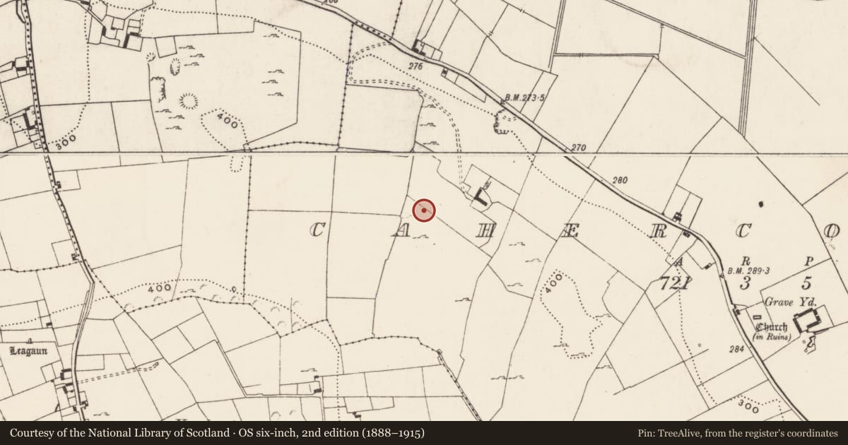Ordnance Survey six-inch map, 2nd edition (1888–1915) covering the location of Standing stone, Cahercorney, County Limerick, with a pin at the register's coordinates