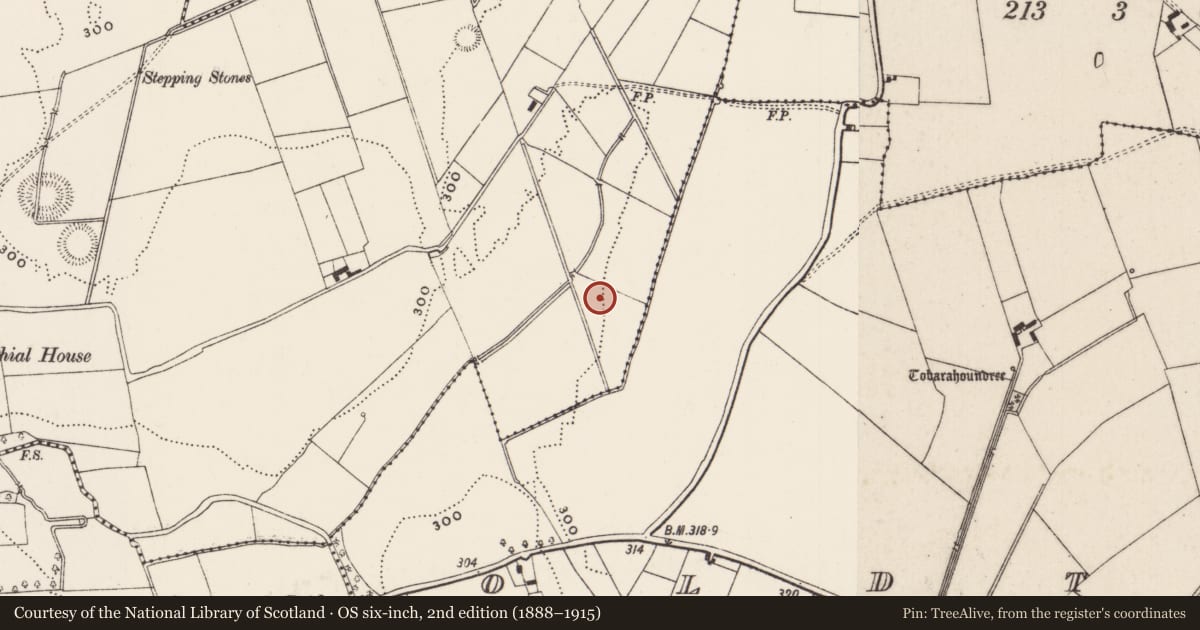 Ordnance Survey six-inch map, 2nd edition (1888–1915) covering the location of Standing stone, Castlefarm, County Limerick, with a pin at the register's coordinates
