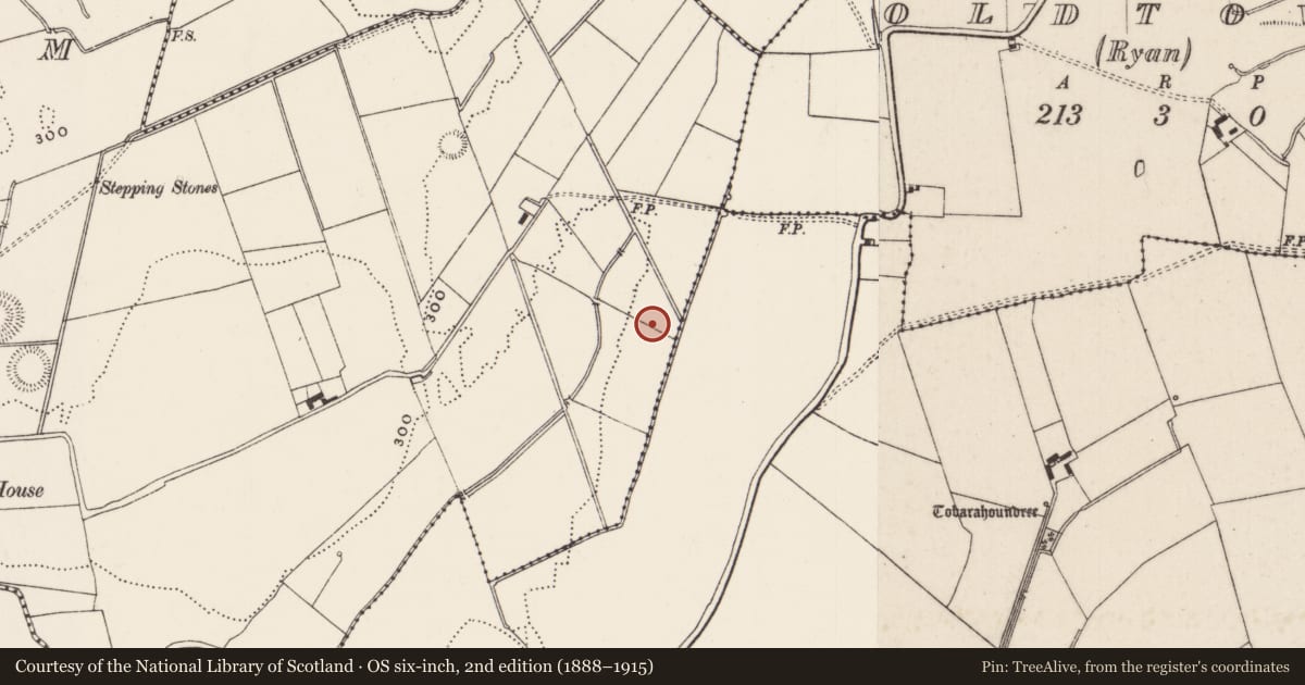 Ordnance Survey six-inch map, 2nd edition (1888–1915) covering the location of Barrow - unclassified, Castlefarm, County Limerick, with a pin at the register's coordinates