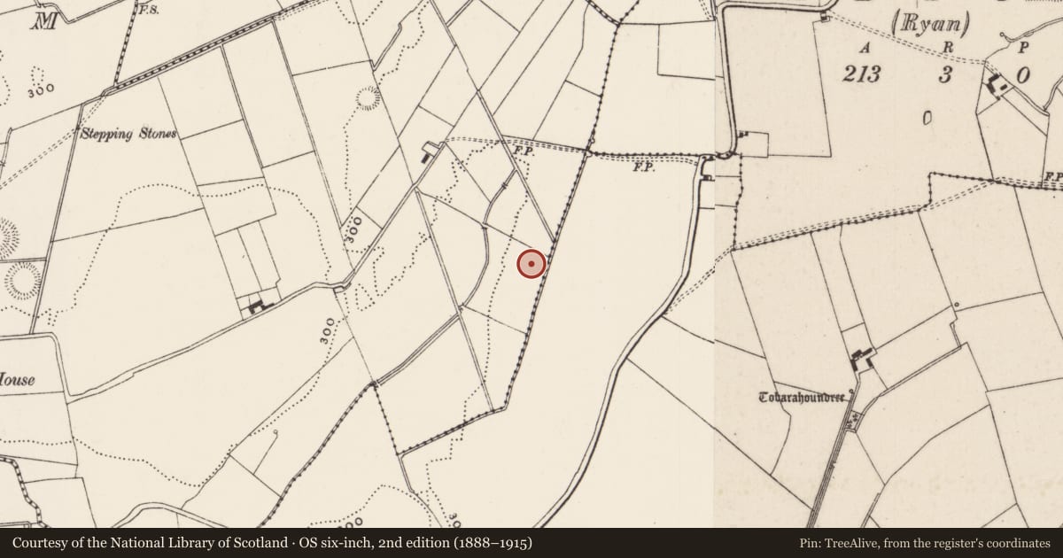 Ordnance Survey six-inch map, 2nd edition (1888–1915) covering the location of Barrow - unclassified, Castlefarm, County Limerick, with a pin at the register's coordinates