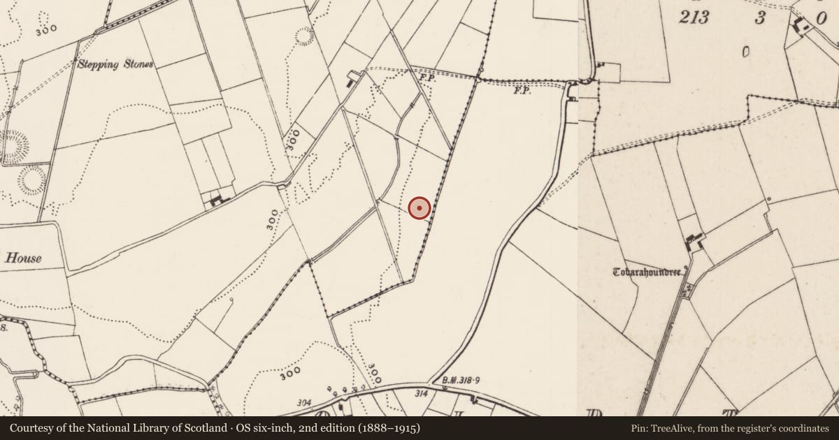 Ordnance Survey six-inch map, 2nd edition (1888–1915) covering the location of Barrow - unclassified, Castlefarm, County Limerick, with a pin at the register's coordinates