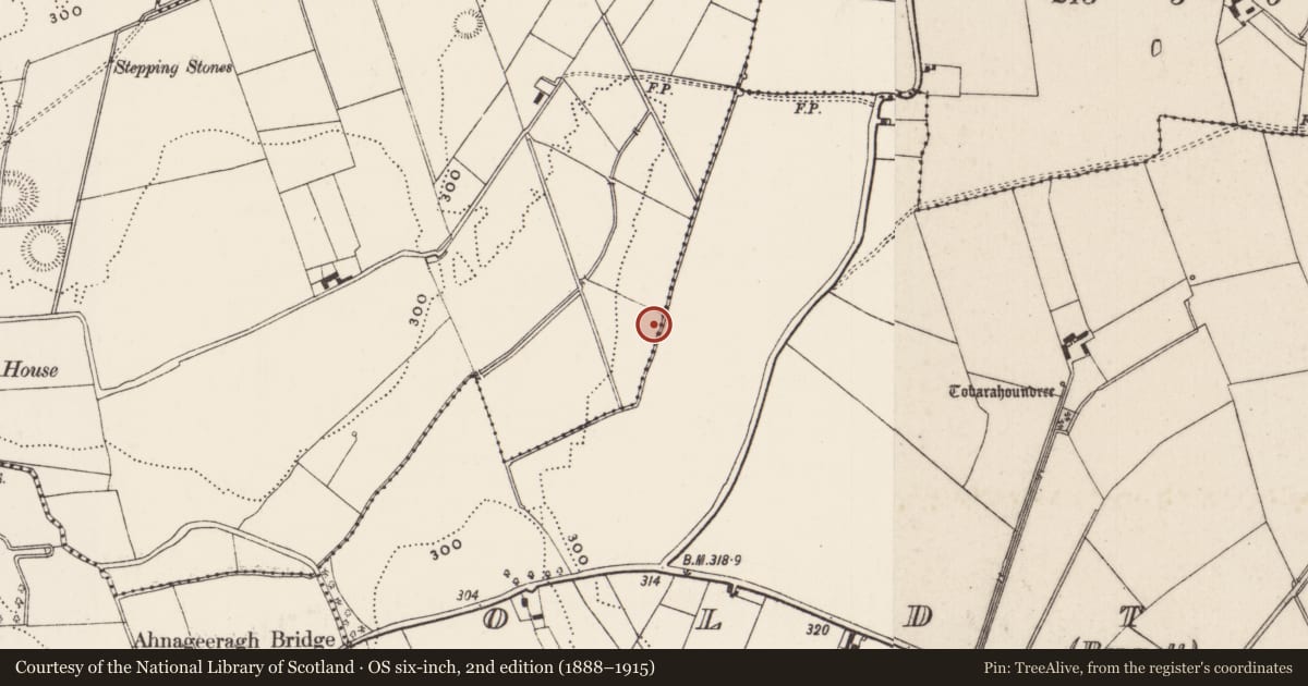 Ordnance Survey six-inch map, 2nd edition (1888–1915) covering the location of Enclosure, Castlefarm, County Limerick, with a pin at the register's coordinates