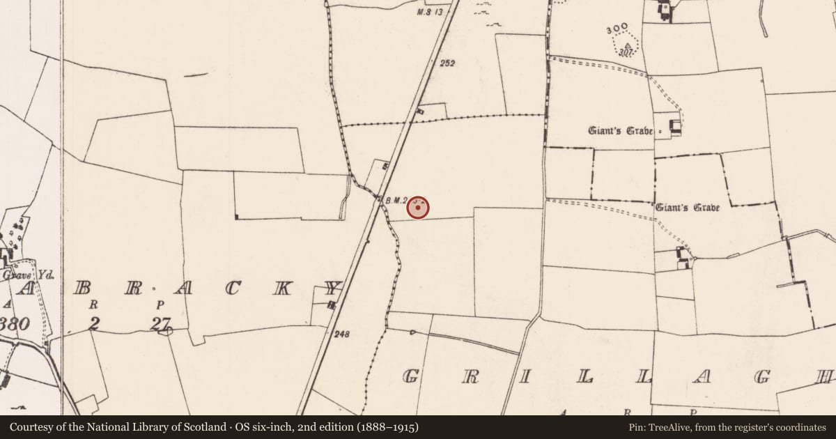 Ordnance Survey six-inch map, 2nd edition (1888–1915) covering the location of Habitation site, Grillagh, County Limerick, with a pin at the register's coordinates
