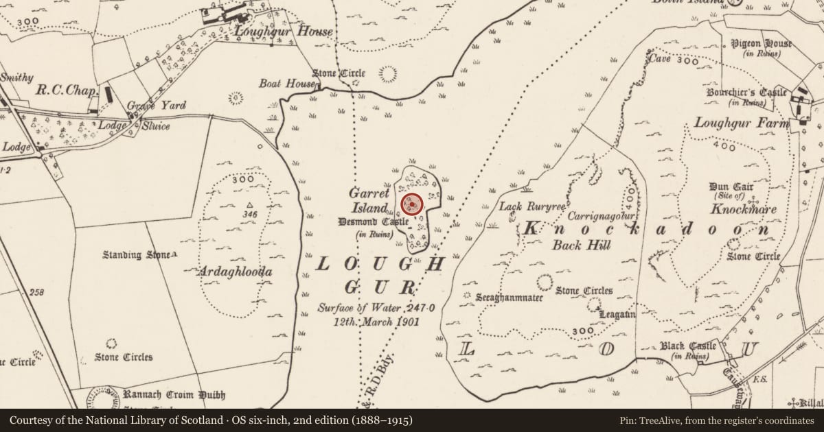 Ordnance Survey six-inch map, 2nd edition (1888–1915) covering the location of Crannog, Loughgur, County Limerick, with a pin at the register's coordinates