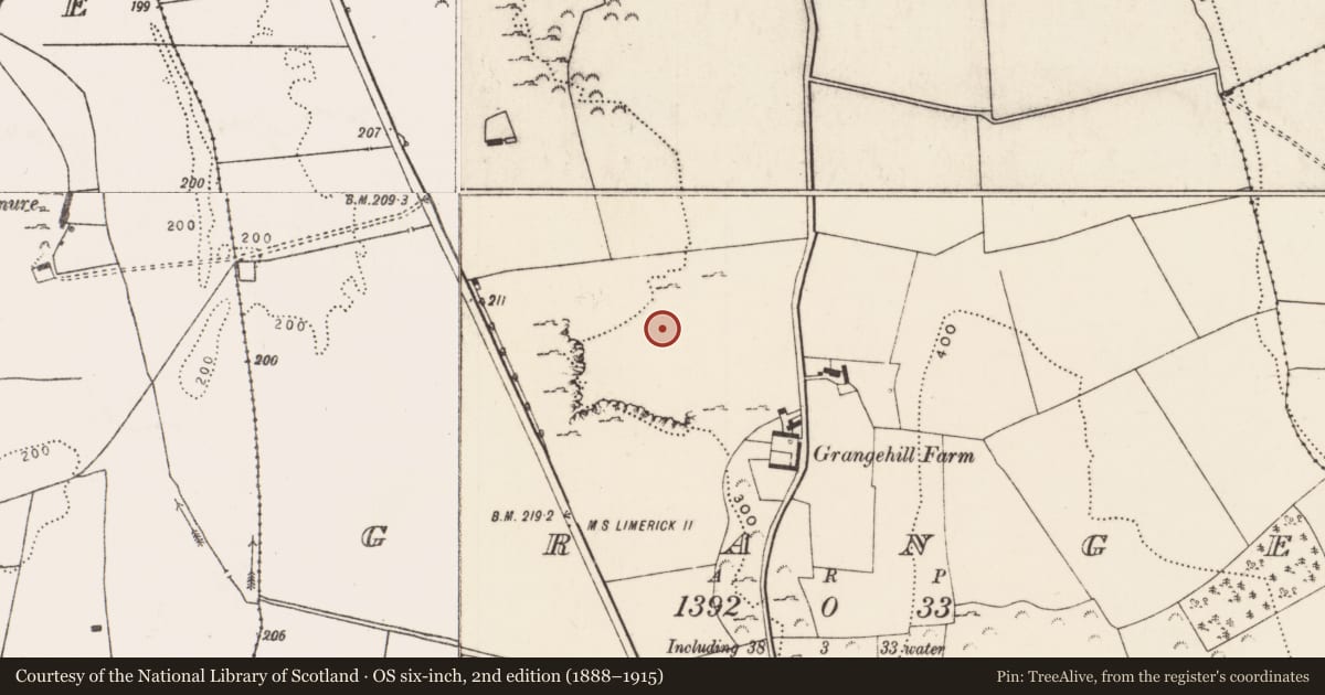 Ordnance Survey six-inch map, 2nd edition (1888–1915) covering the location of Enclosure, Grange, County Limerick, with a pin at the register's coordinates