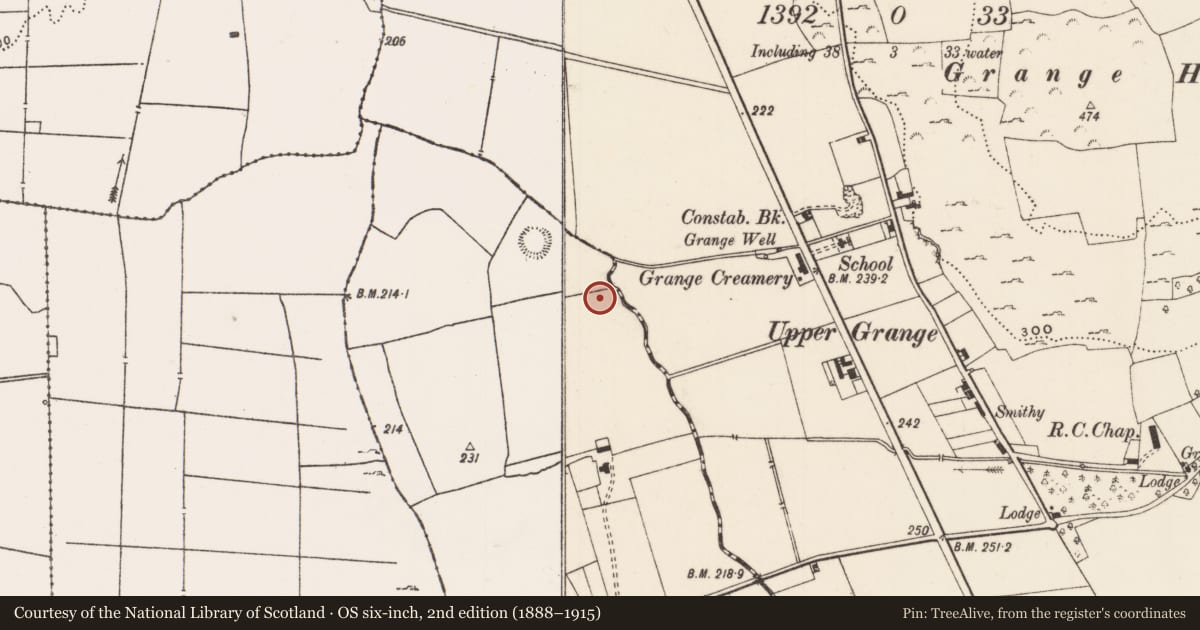 Ordnance Survey six-inch map, 2nd edition (1888–1915) covering the location of Enclosure, Raheen, County Limerick, with a pin at the register's coordinates