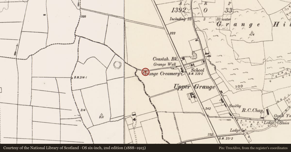 Ordnance Survey six-inch map, 2nd edition (1888–1915) covering the location of Earthwork, Grange, County Limerick, with a pin at the register's coordinates