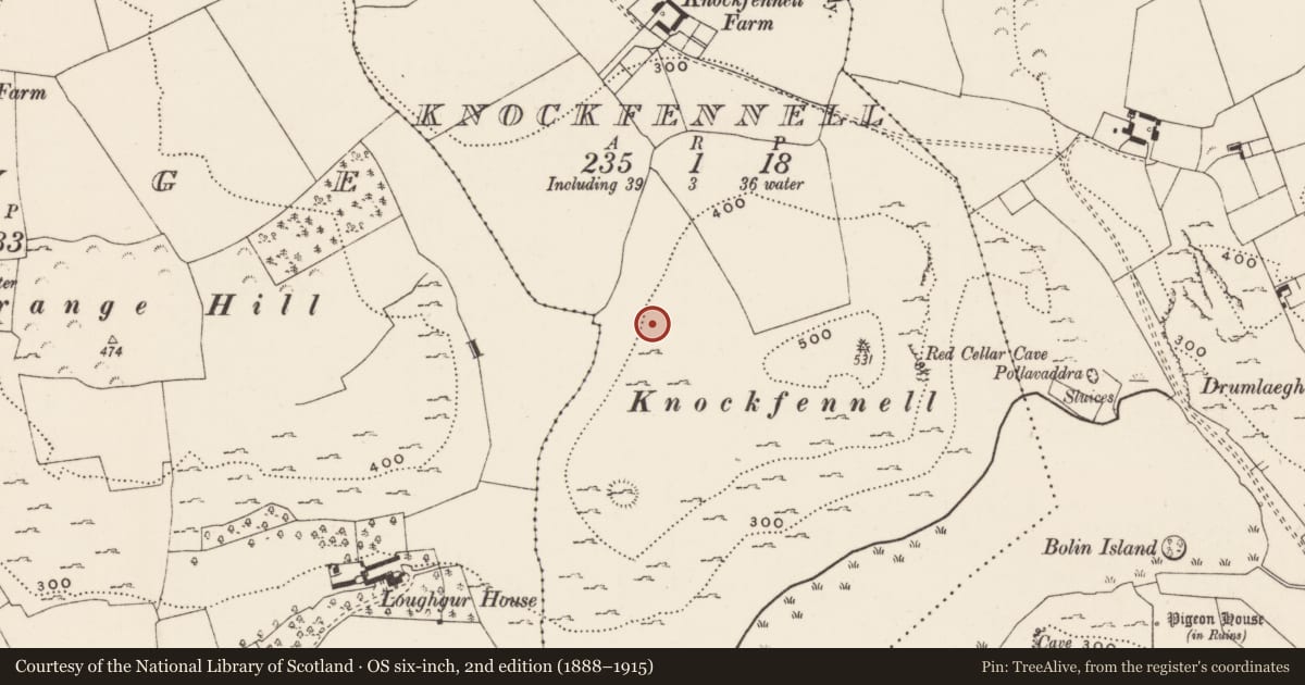 Ordnance Survey six-inch map, 2nd edition (1888–1915) covering the location of Enclosure, Knockfennell, County Limerick, with a pin at the register's coordinates