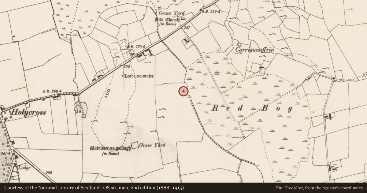 Ordnance Survey six-inch map, 2nd edition (1888–1915) covering the location of Enclosure, Loughgur, County Limerick, with a pin at the register's coordinates