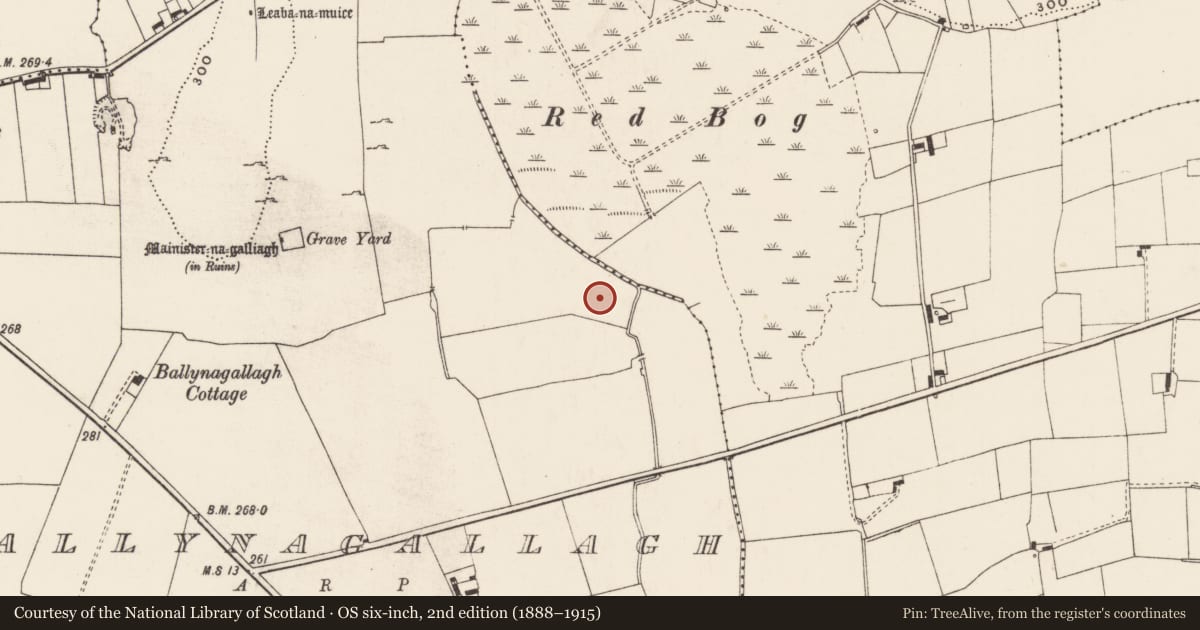 Ordnance Survey six-inch map, 2nd edition (1888–1915) covering the location of Enclosure, Ballynagallagh, County Limerick, with a pin at the register's coordinates