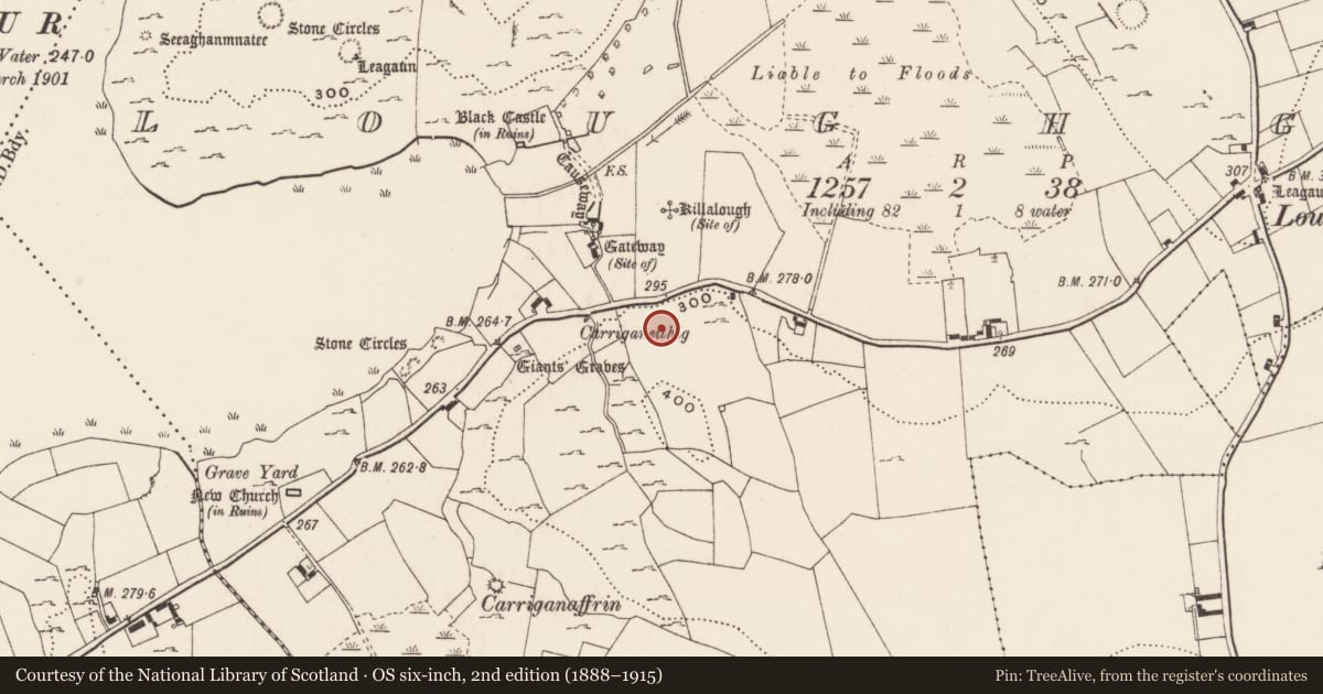 Ordnance Survey six-inch map, 2nd edition (1888–1915) covering the location of Field system, County Limerick, with a pin at the register's coordinates