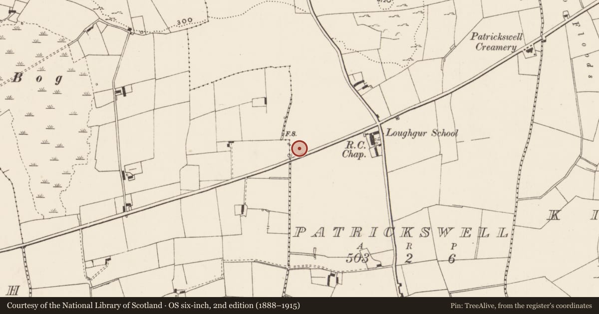 Ordnance Survey six-inch map, 2nd edition (1888–1915) covering the location of Enclosure, Patrickswell, County Limerick, with a pin at the register's coordinates