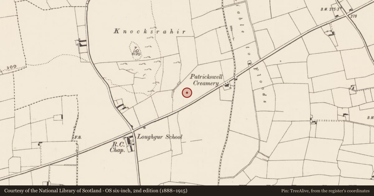 Ordnance Survey six-inch map, 2nd edition (1888–1915) covering the location of Earthwork, Patrickswell, County Limerick, with a pin at the register's coordinates