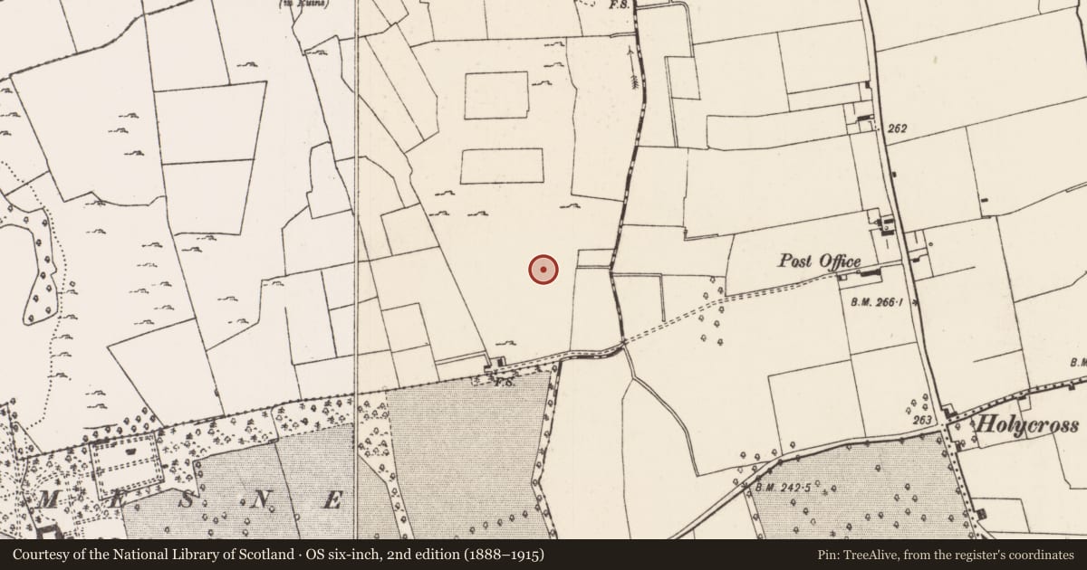 Ordnance Survey six-inch map, 2nd edition (1888–1915) covering the location of Enclosure, Raheen, County Limerick, with a pin at the register's coordinates