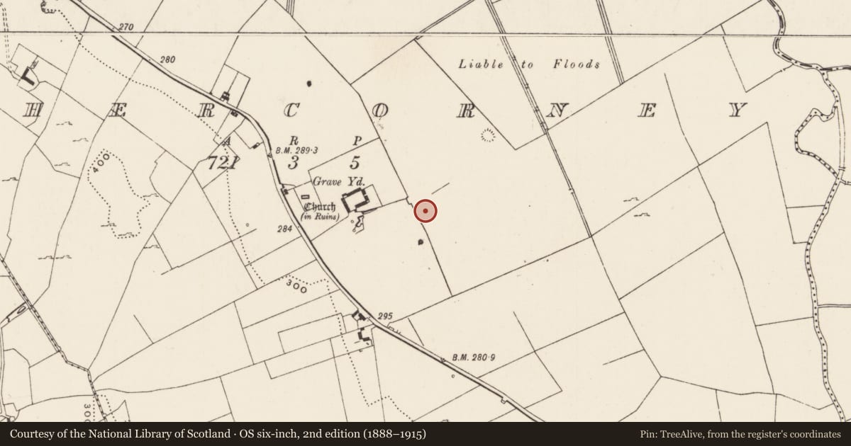 Ordnance Survey six-inch map, 2nd edition (1888–1915) covering the location of Earthwork, Cahercorney, County Limerick, with a pin at the register's coordinates