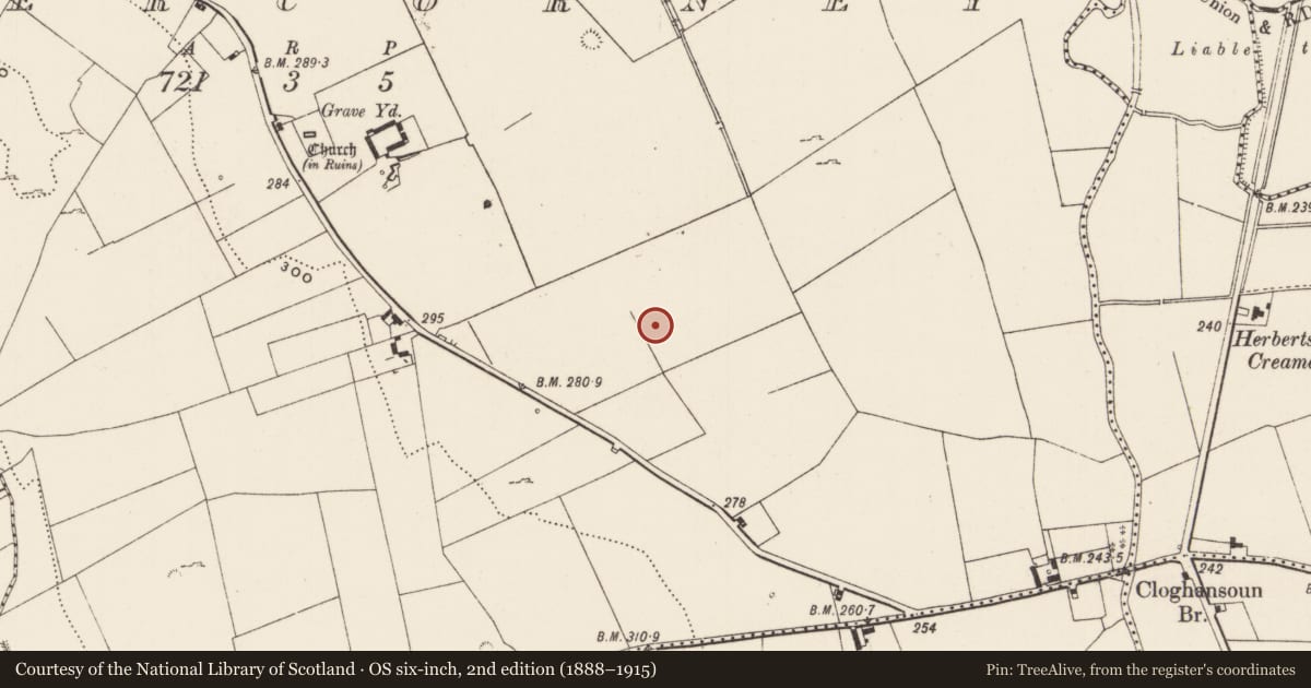 Ordnance Survey six-inch map, 2nd edition (1888–1915) covering the location of Moated site, Cahercorney, County Limerick, with a pin at the register's coordinates
