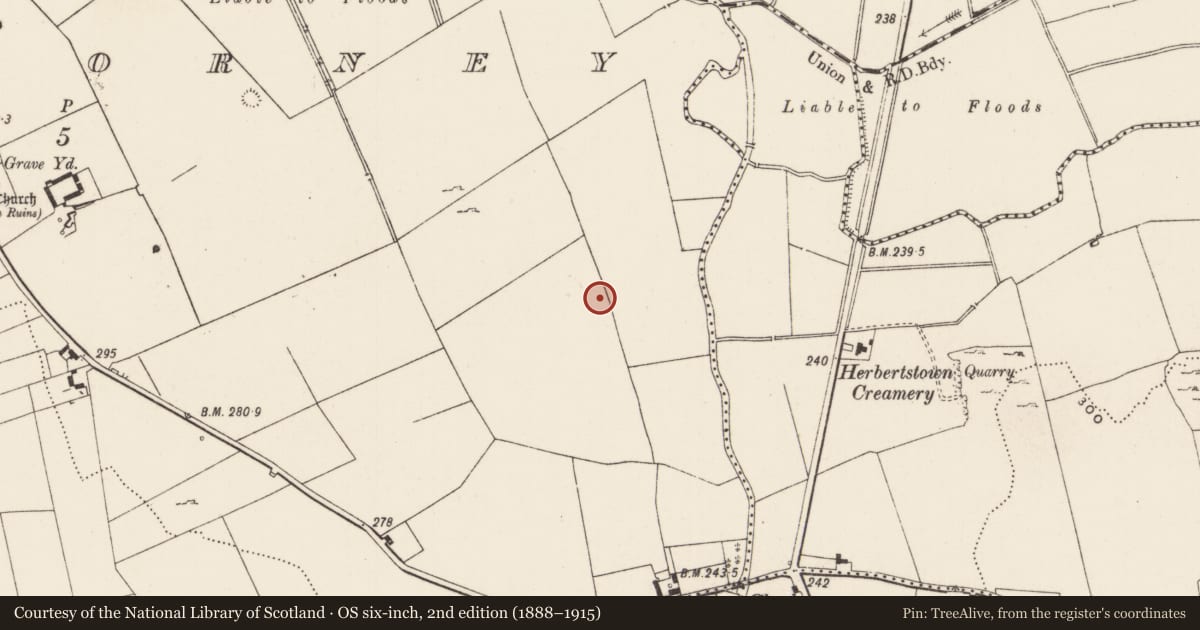 Ordnance Survey six-inch map, 2nd edition (1888–1915) covering the location of Enclosure, Cahercorney, County Limerick, with a pin at the register's coordinates