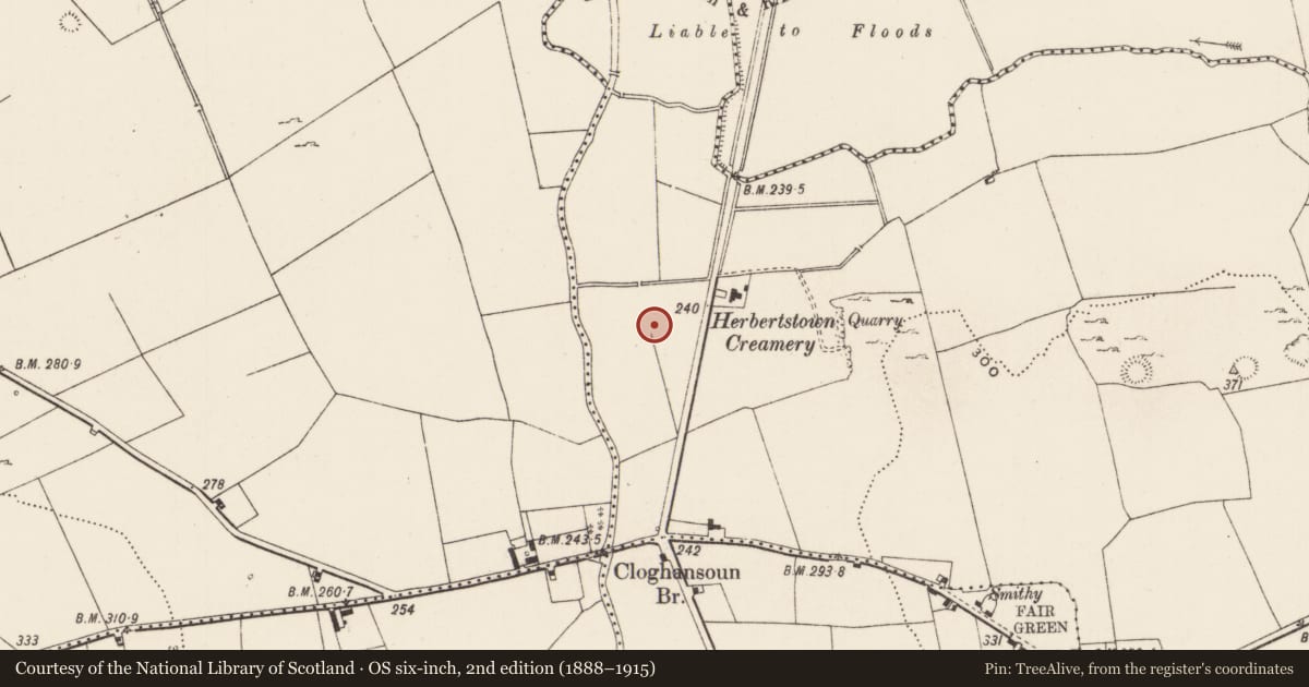 Ordnance Survey six-inch map, 2nd edition (1888–1915) covering the location of Barrow - ditch barrow, Ballinard, County Limerick, with a pin at the register's coordinates