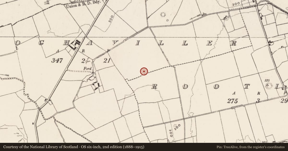 Ordnance Survey six-inch map, 2nd edition (1888–1915) covering the location of Moated site, Cloghaviller, County Limerick, with a pin at the register's coordinates
