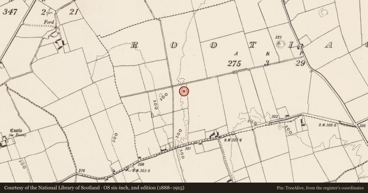 Ordnance Survey six-inch map, 2nd edition (1888–1915) covering the location of Barrow - unclassified, Rootiagh, County Limerick, with a pin at the register's coordinates