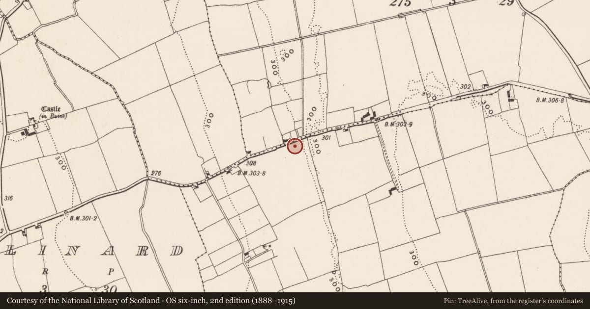 Ordnance Survey six-inch map, 2nd edition (1888–1915) covering the location of Moated site, Ballyloundash, County Limerick, with a pin at the register's coordinates