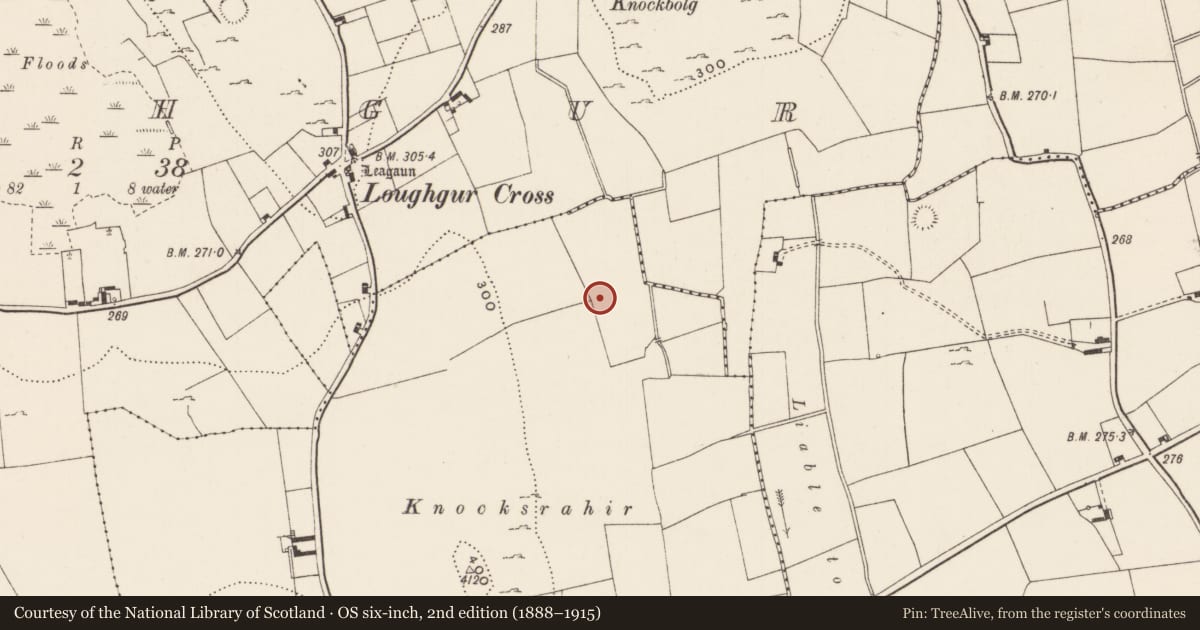 Ordnance Survey six-inch map, 2nd edition (1888–1915) covering the location of Road - road/trackway, Loughgur, Patrickswell, County Limerick, with a pin at the register's coordinates