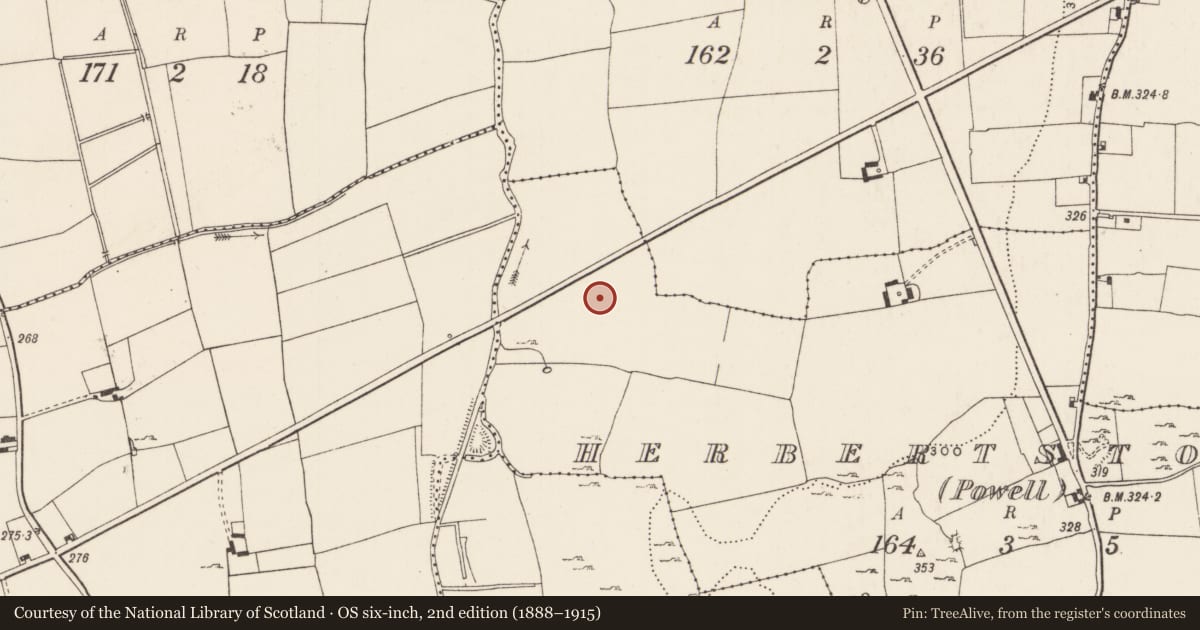 Ordnance Survey six-inch map, 2nd edition (1888–1915) covering the location of Barrow - ditch barrow, Herbertstown (Powell), County Limerick, with a pin at the register's coordinates