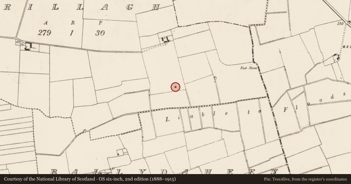 Ordnance Survey six-inch map, 2nd edition (1888–1915) covering the location of Moated site, Grillagh, County Limerick, with a pin at the register's coordinates