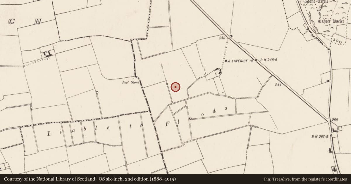 Ordnance Survey six-inch map, 2nd edition (1888–1915) covering the location of Earthwork, Kilballyowen, County Limerick, with a pin at the register's coordinates
