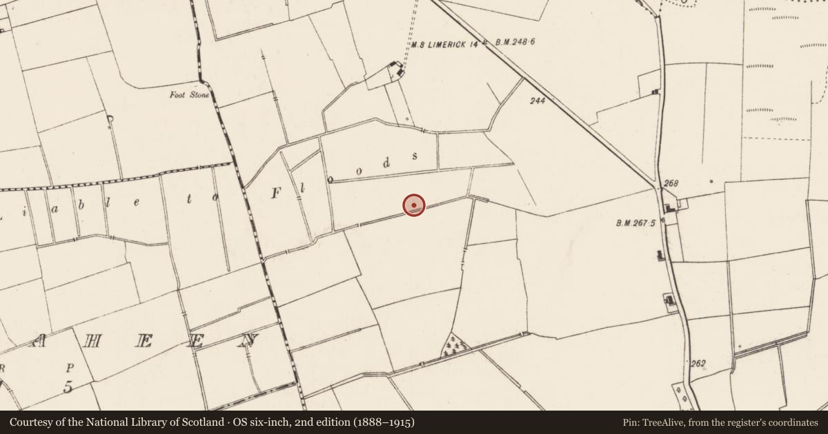 Ordnance Survey six-inch map, 2nd edition (1888–1915) covering the location of Earthwork, Kilballyowen, County Limerick, with a pin at the register's coordinates