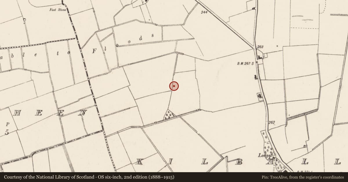 Ordnance Survey six-inch map, 2nd edition (1888–1915) covering the location of Enclosure, Kilballyowen, County Limerick, with a pin at the register's coordinates