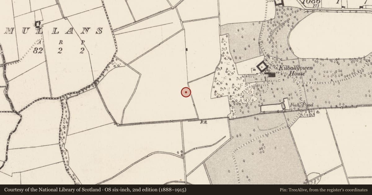 Ordnance Survey six-inch map, 2nd edition (1888–1915) covering the location of Designed landscape feature, Kilballyowen, County Limerick, with a pin at the register's coordinates