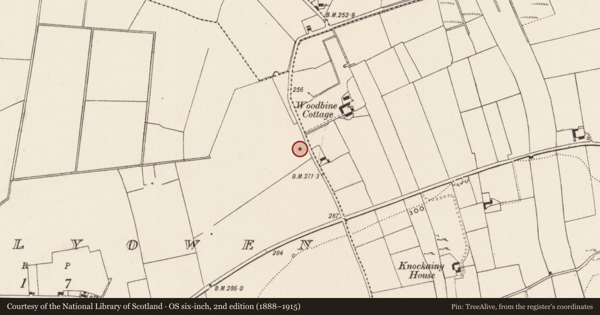 Ordnance Survey six-inch map, 2nd edition (1888–1915) covering the location of Enclosure, Kilballyowen, County Limerick, with a pin at the register's coordinates