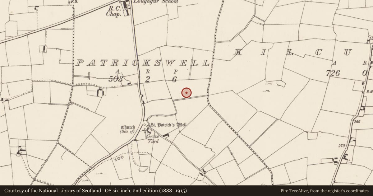 Ordnance Survey six-inch map, 2nd edition (1888–1915) covering the location of Enclosure, Patrickswell, County Limerick, with a pin at the register's coordinates