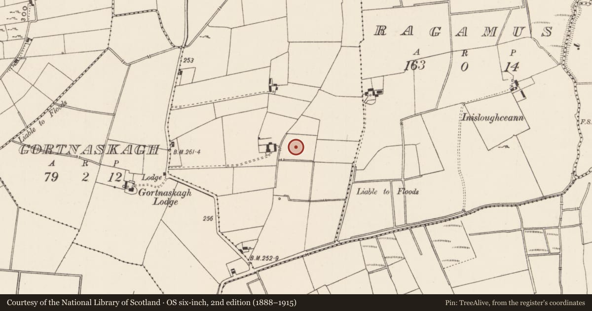 Ordnance Survey six-inch map, 2nd edition (1888–1915) covering the location of Earthwork, Kilcullane, County Limerick, with a pin at the register's coordinates
