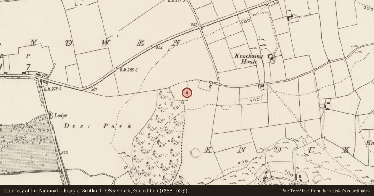 Ordnance Survey six-inch map, 2nd edition (1888–1915) covering the location of Enclosure, Knockainy West, County Limerick, with a pin at the register's coordinates
