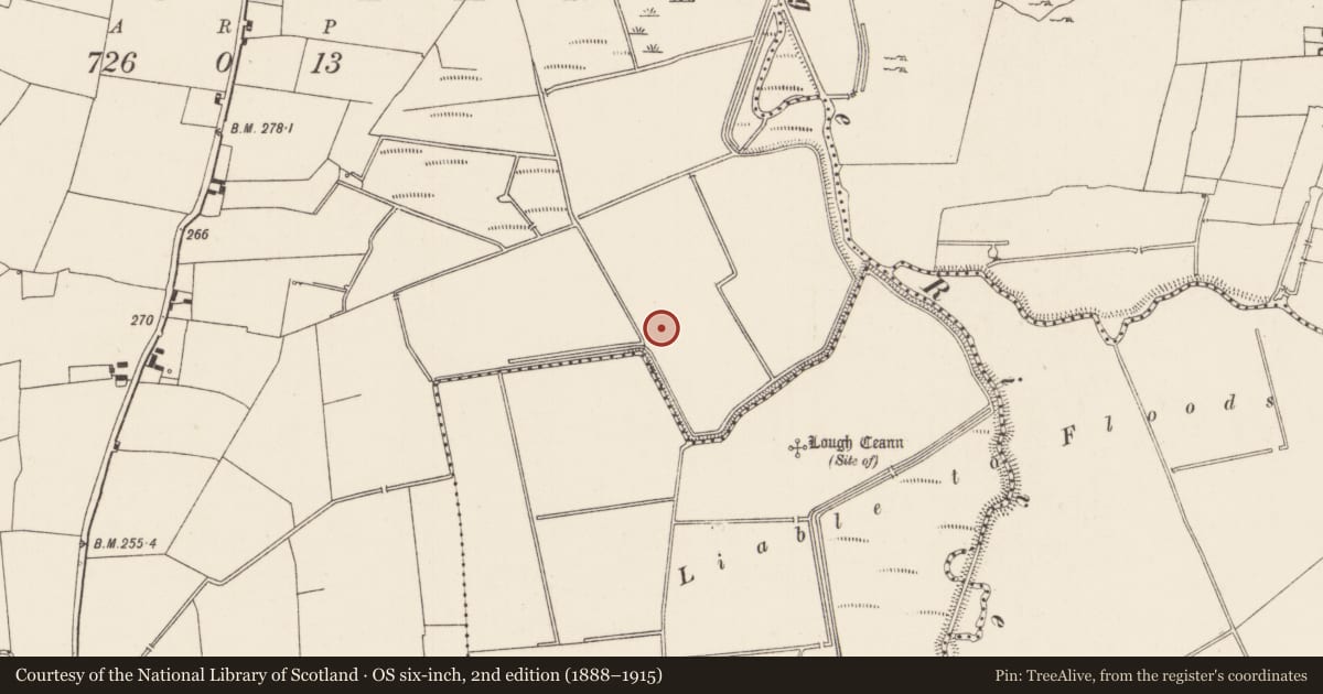 Ordnance Survey six-inch map, 2nd edition (1888–1915) covering the location of Linear earthwork, Kilcullane, County Limerick, with a pin at the register's coordinates