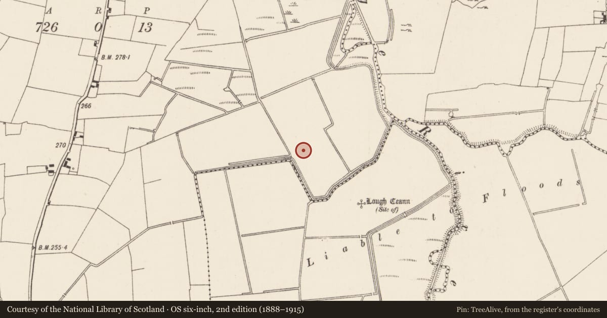 Ordnance Survey six-inch map, 2nd edition (1888–1915) covering the location of Barrow - ditch barrow, Kilcullane, County Limerick, with a pin at the register's coordinates