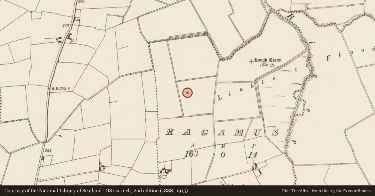 Ordnance Survey six-inch map, 2nd edition (1888–1915) covering the location of Barrow - ditch barrow, Ragamus, County Limerick, with a pin at the register's coordinates