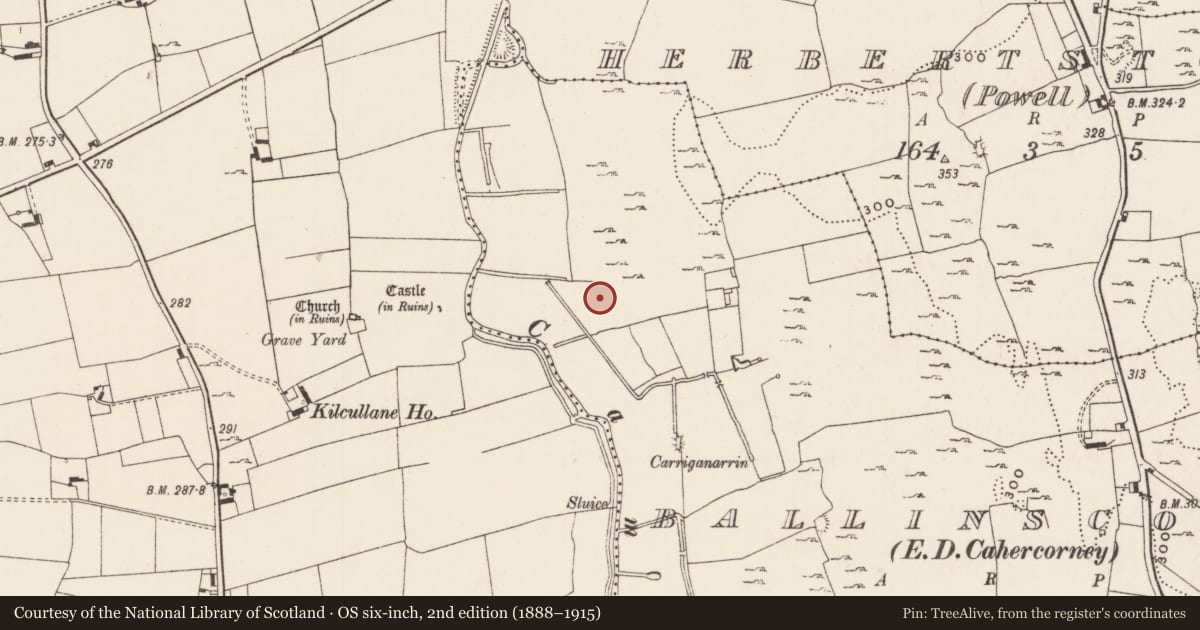 Ordnance Survey six-inch map, 2nd edition (1888–1915) covering the location of Earthwork, Ballinscoola, County Limerick, with a pin at the register's coordinates