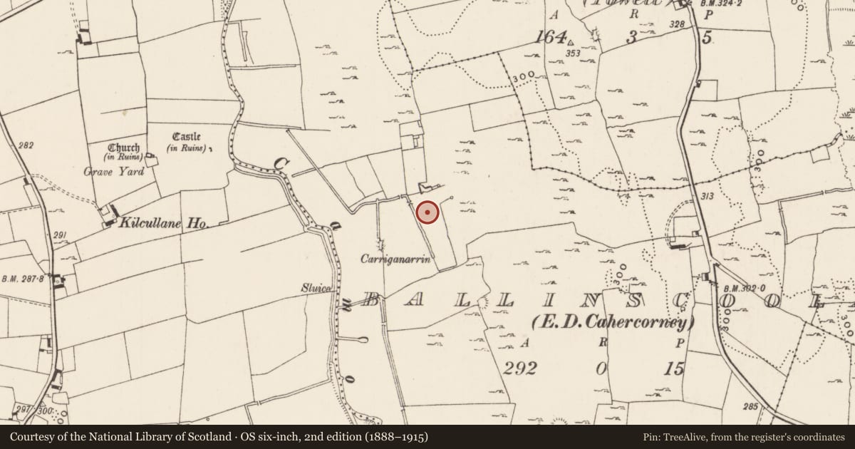 Ordnance Survey six-inch map, 2nd edition (1888–1915) covering the location of Moated site, Ballinscoola, County Limerick, with a pin at the register's coordinates