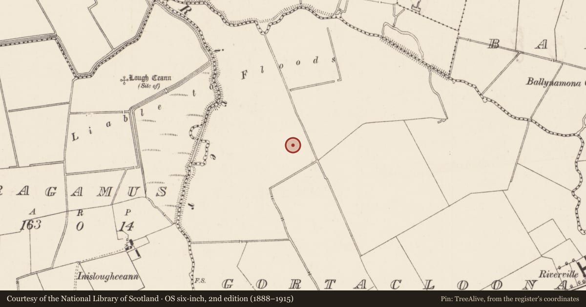 Ordnance Survey six-inch map, 2nd edition (1888–1915) covering the location of Barrow - unclassified, Gortacloona, County Limerick, with a pin at the register's coordinates